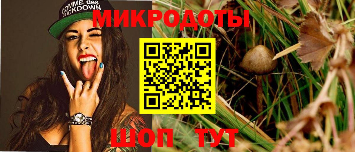 Псилоцибиновые грибы MAGIC MUSHROOMS  Галлюциногенные грибы Magic Shrooms  Фурманов  купить наркотики сайты  Вход с VPN 